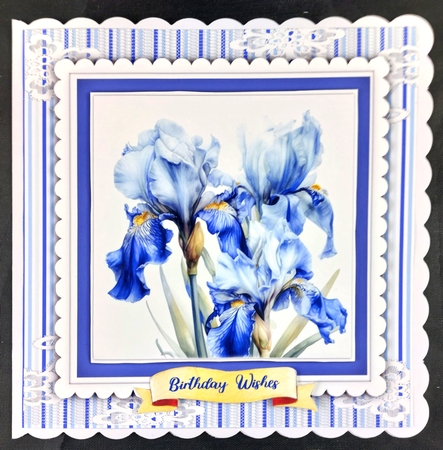 8x8 Mini Kit, Beautiful Blue Irises by Linda Short