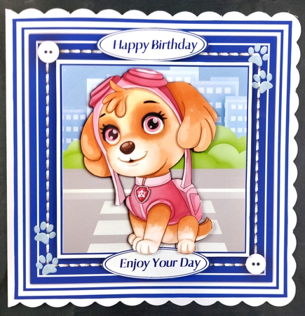 8x8 Mini Kit, Beautiful  Paw Patrol by Linda Short
