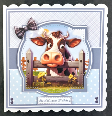 NOSEY COWS 6X6 & 5X7 by Linda Short