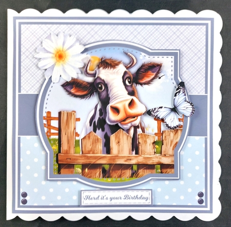 NOSEY COWS 6X6 & 5X7 by Linda Short