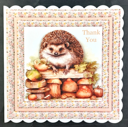 Hedgehog card front 2 by Linda Short