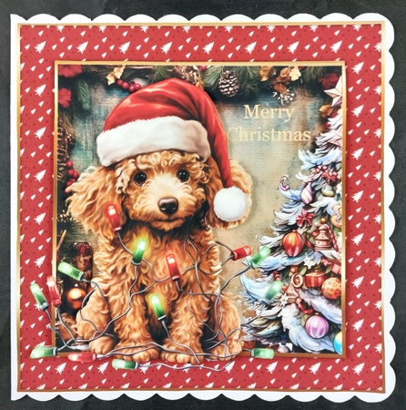 Framed pup in a tangle Christmas card front 7 by Linda Short