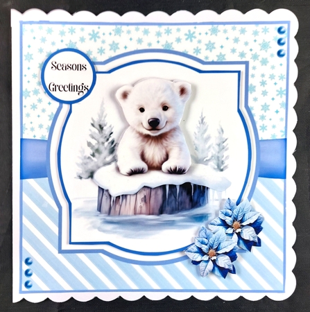 Splish Splash Polar Bear by Linda Short