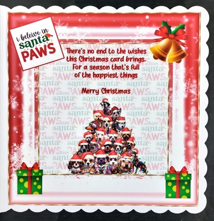I believe in Santa Paws by Linda Short