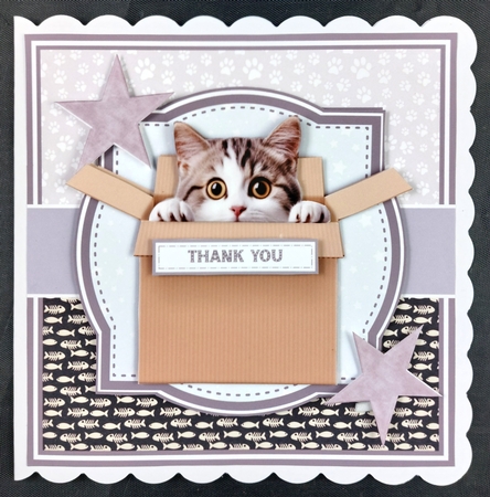 PEEKABOO CATS by Linda Short