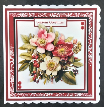 Christmas Hellebores by Linda Short