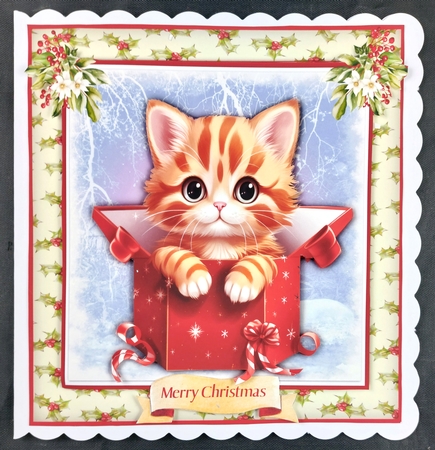 8x8 Gorgeous Kitty in a Box by Linda Short