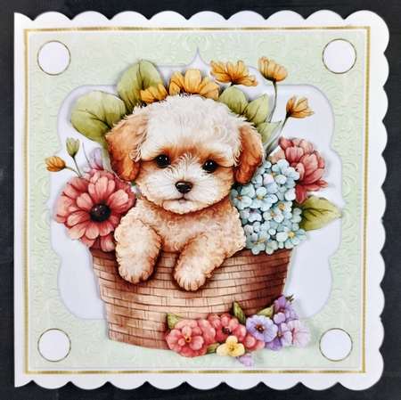 3 Green floral pup in basket card front/toppers 10 by Linda Short