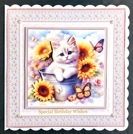 Sunflower kitten card front 12 by Linda Short