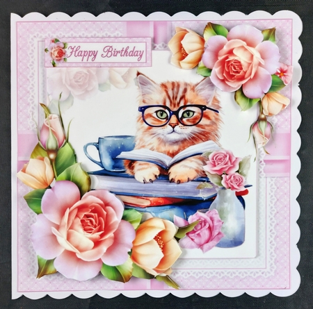7x7 cats with books 2 choice of four mini kit by Linda Short