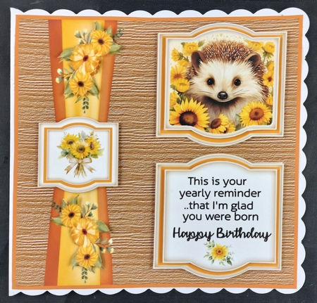 2 Panel Birthday hedgehog card front 1 by Linda Short