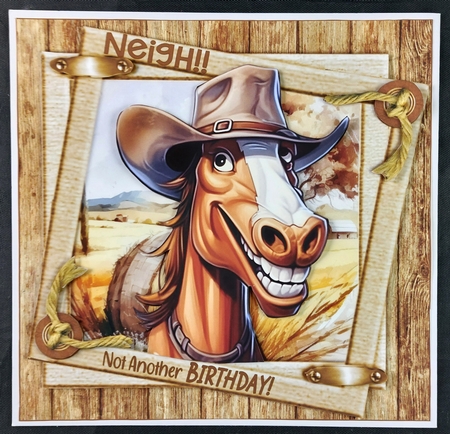 7x7 Birthday wishes from the horse male choice of four mini kit by Linda Short