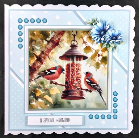 Feeding the Birds by Linda Short