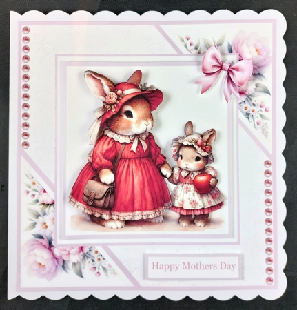 The School Run with Mamma Rabbit by Linda Short