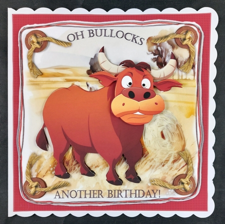 7x7 Birthday wishes from the bull choice of four mini kit by Linda Short