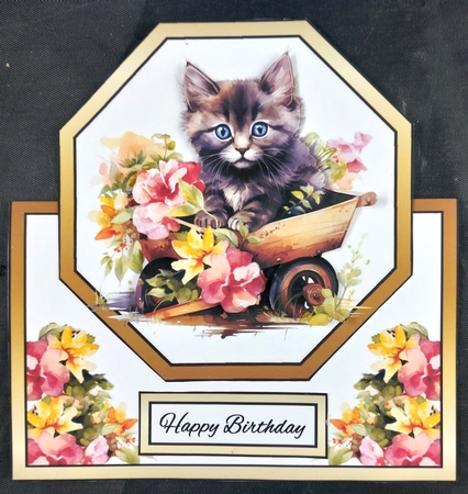 Fluffy kitten in a Barrow by Linda Short