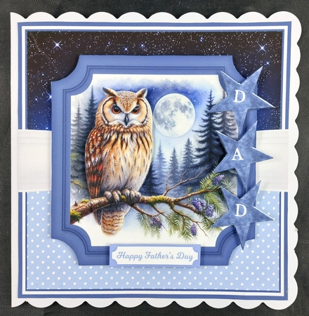 OWLS - flowers are optional by Linda Short