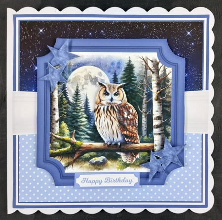OWLS - flowers are optional by Linda Short
