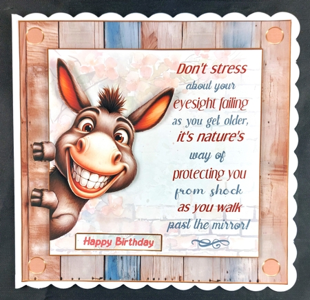 Fun donkey 7x7ins decoupage topper by Linda Short