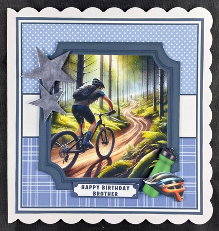 MOUNTAIN BIKERS by Linda Short