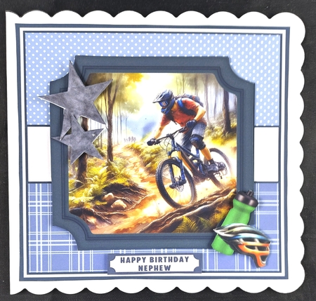 MOUNTAIN BIKERS by Linda Short