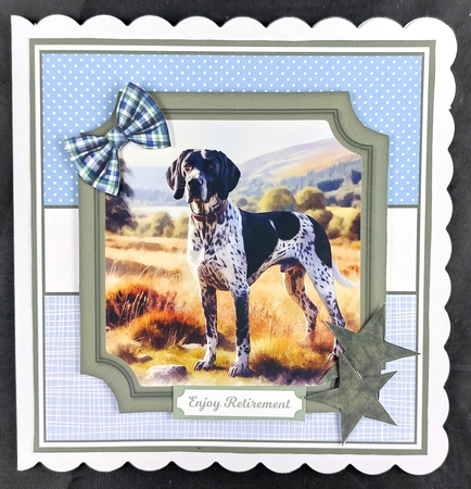 POINTER DOGS by Linda Short