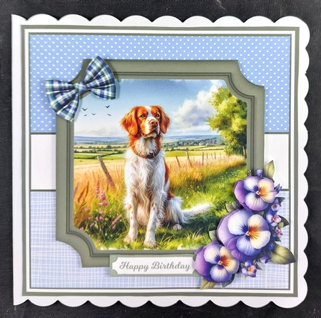 POINTER DOGS by Linda Short