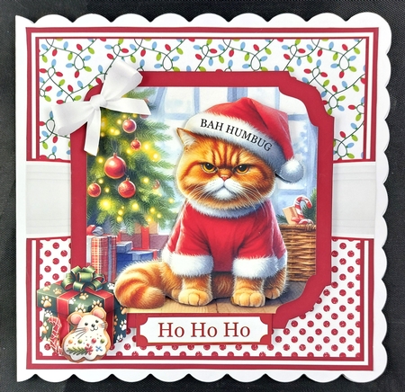 BAH HUMBUG - CATS by Linda Short