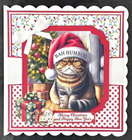 BAH HUMBUG - CATS by Linda Short