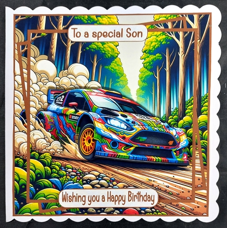 Rally Driving 7x7 by Linda Short