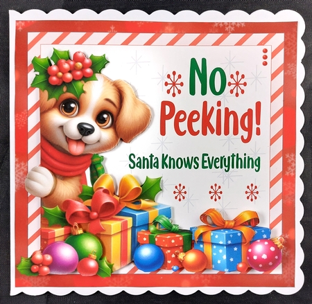 No Peeking Mini Kit by Linda Short