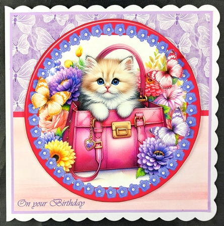 Kitten in my handbag by Linda Short