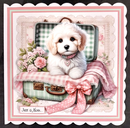 cockapoo pup by Linda Short