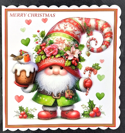 DR 12 christmas gnomes  by Linda Short