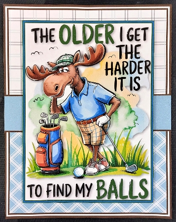 The Older I Get by Linda Short