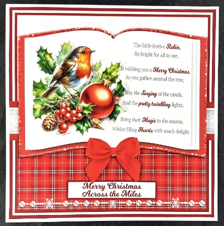FESTIVE ROBIN 6X6 by Linda Short
