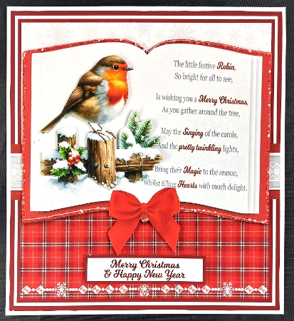 FESTIVE ROBIN 6X6 by Linda Short