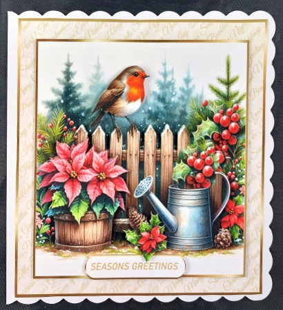 framed christmas robin 2 by Linda Short