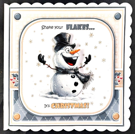 SHAKE YOUR FLAKES! by Linda Short
