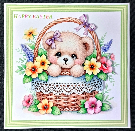 Basket Bear  by Linda Short