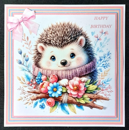 20+ hedgehogs for all occasions by Linda Short