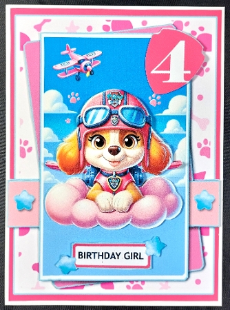 5x7 ~ Paw Patrol Skye Birthday Girl Ages 2 t0 5 by Linda Short