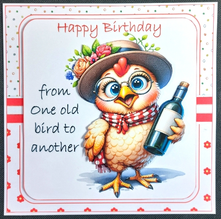 7x7 Birthday wishes from an old fool choice of four mini kit by Linda Short