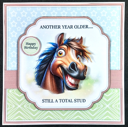 Total stud by Linda Short