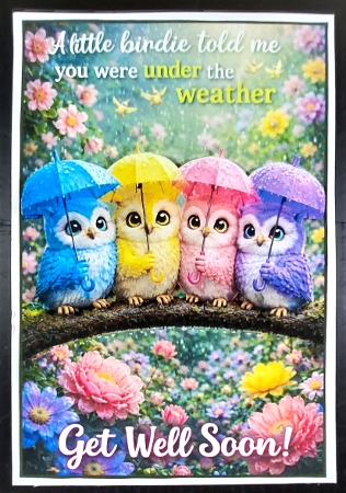 under the weather owls by Linda Short