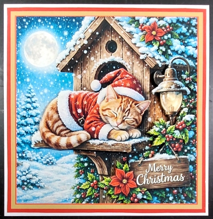 cat christmas by Linda Short