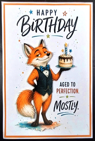 Birthday fun 14 by Linda Short