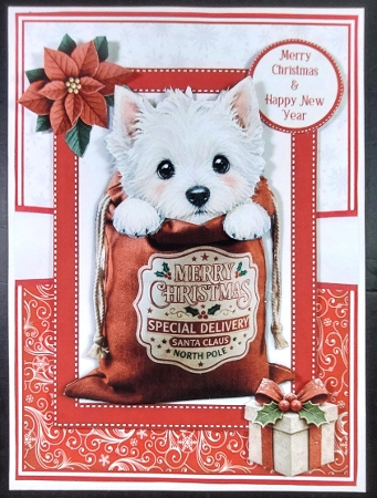 SPECIAL DELIVERY - DOGS set 1 by Linda Short