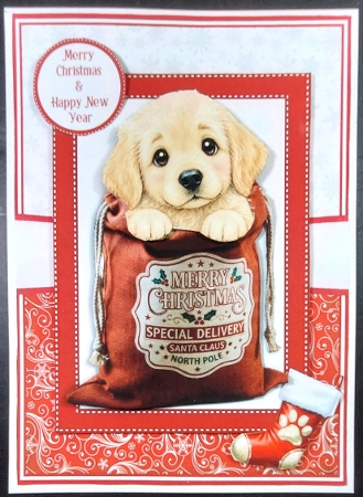 SPECIAL DELIVERY - DOGS set 1 by Linda Short