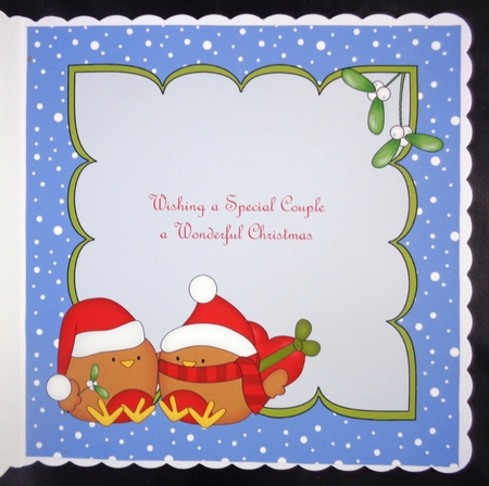 8 x 8 Christmas Robins Love Insert by Linda Short